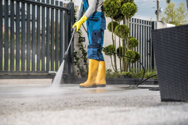 Animal Enclosure Cleaning in West Cape May, NJ